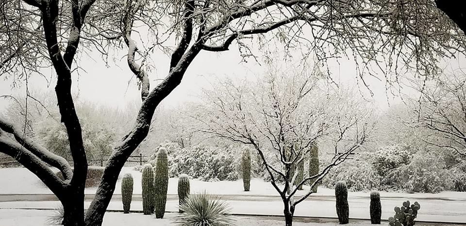 Snow in Tucson
